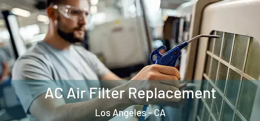  AC Air Filter Replacement Los Angeles - CA