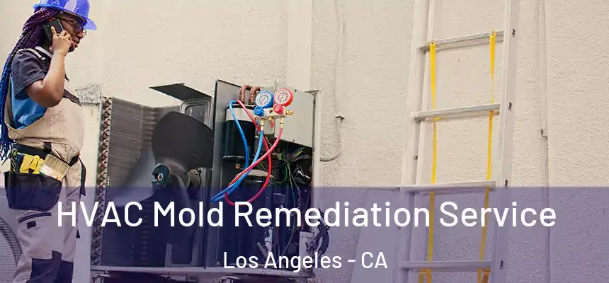 HVAC Mold Remediation Service Los Angeles - CA