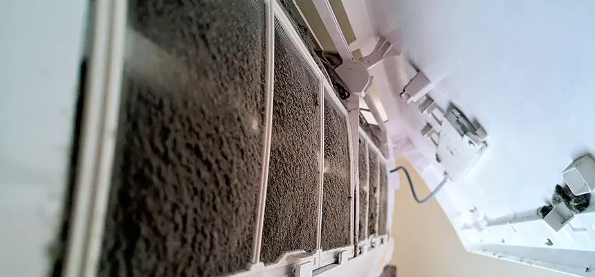 Preventive Air Duct Bacteria Removal in Los Angeles