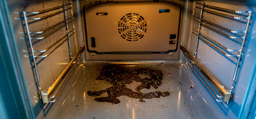 Our Dryer Vent Mold Cleaning Services in Los Angeles, CA