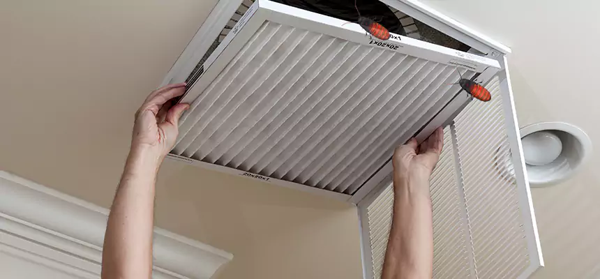 Our Insect Removal from Air Ducts Services in Los Angeles, CA