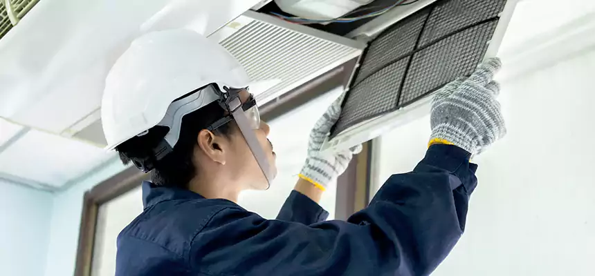 Our Mold & Mildew Removal from Air Ducts Services in Los Angeles, CA