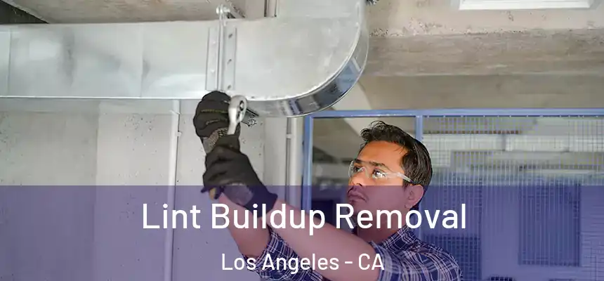  Lint Buildup Removal Los Angeles - CA