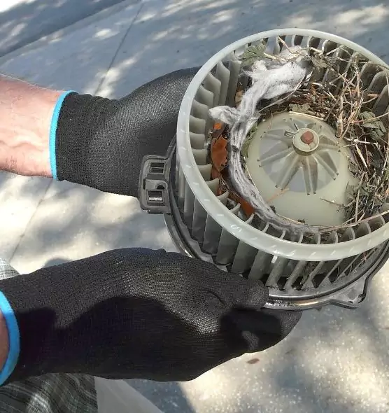 About Air Duct Rat Removal in Los Angeles, CA