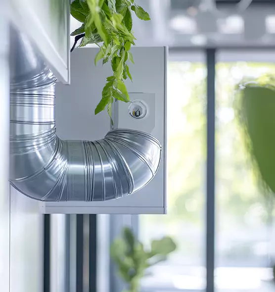 Professional Eco-Safe Dryer Vent Cleaning in Los Angeles, CA