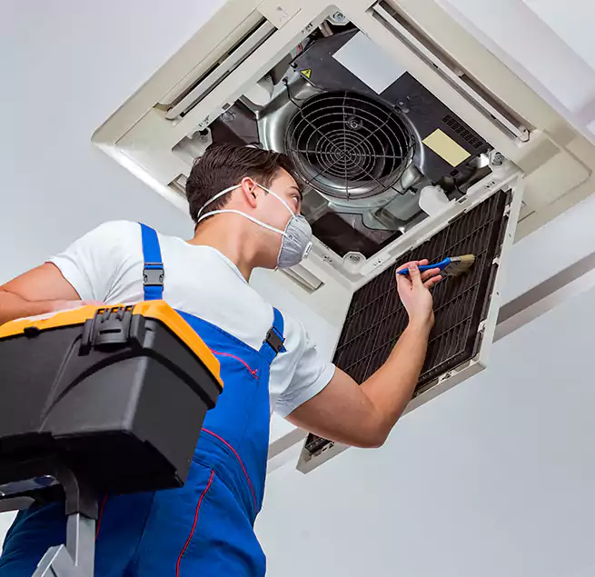 Why Homeowners & Businesses Trust Us in Los Angeles, CA