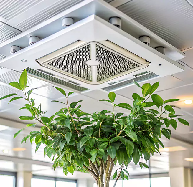 Why Homeowners & Businesses Trust Us in Los Angeles, CA