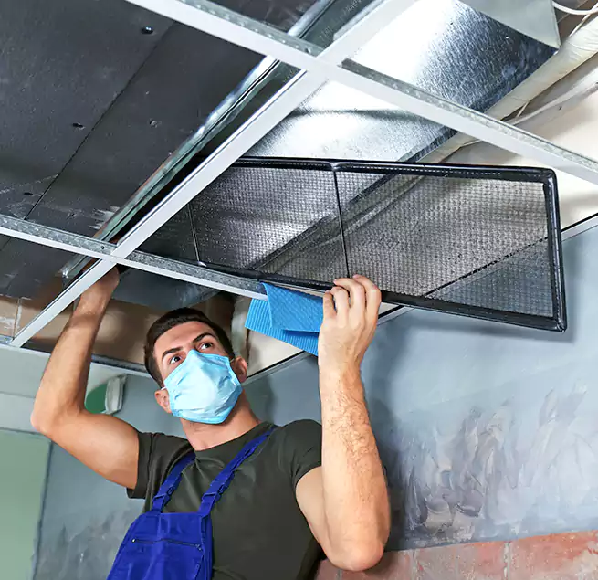 Why Homeowners Businesses Trust Us in Los Angeles, CA