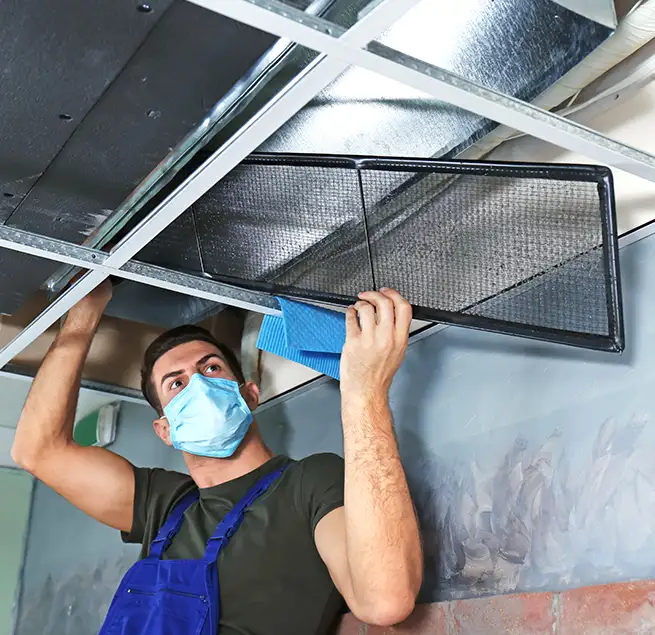 Why Homeowners & Businesses Trust Us in Los Angeles, CA?